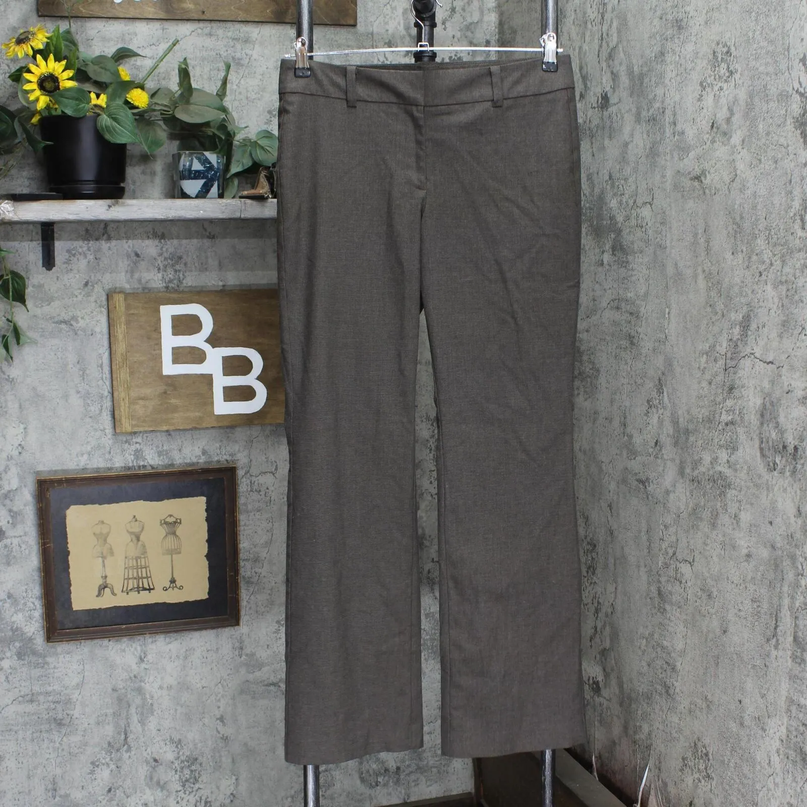 Ann Taylor Womens Signature Woven Dress Pants 166a8a73969329 Brown 6