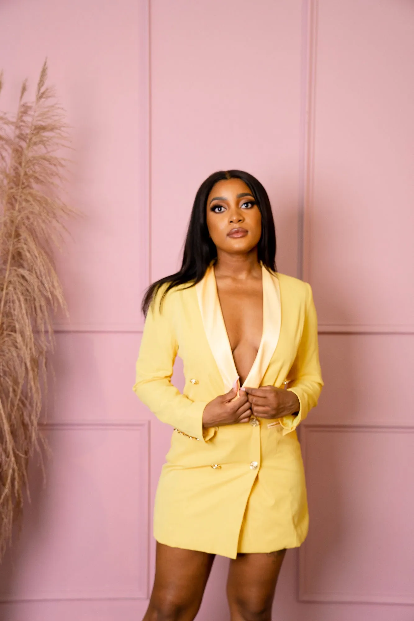 Ashley Blazer Dress