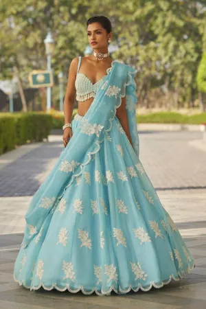 Blue Flower Lehenga Set