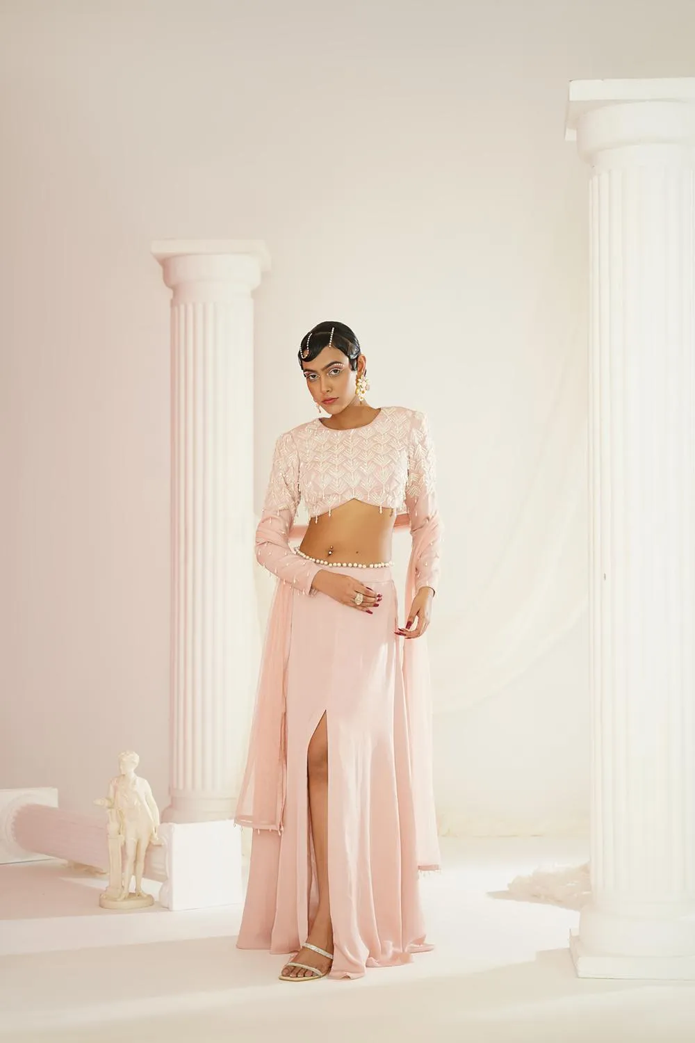 Blush Pink Embellished Lehenga, Blouse  And Dupatta