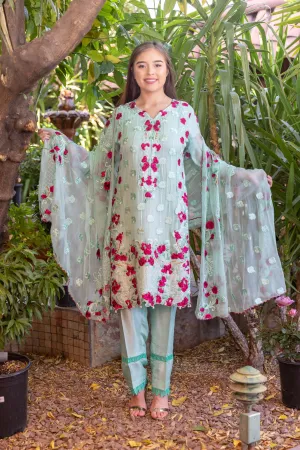 Chiffon Embroidery Suit-Salwar Kameez