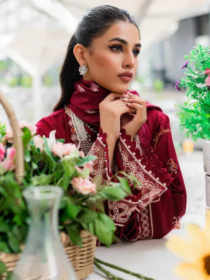 Classic Cherry Red Pakistani Salwar Kameez Embroidered Salwar Suit