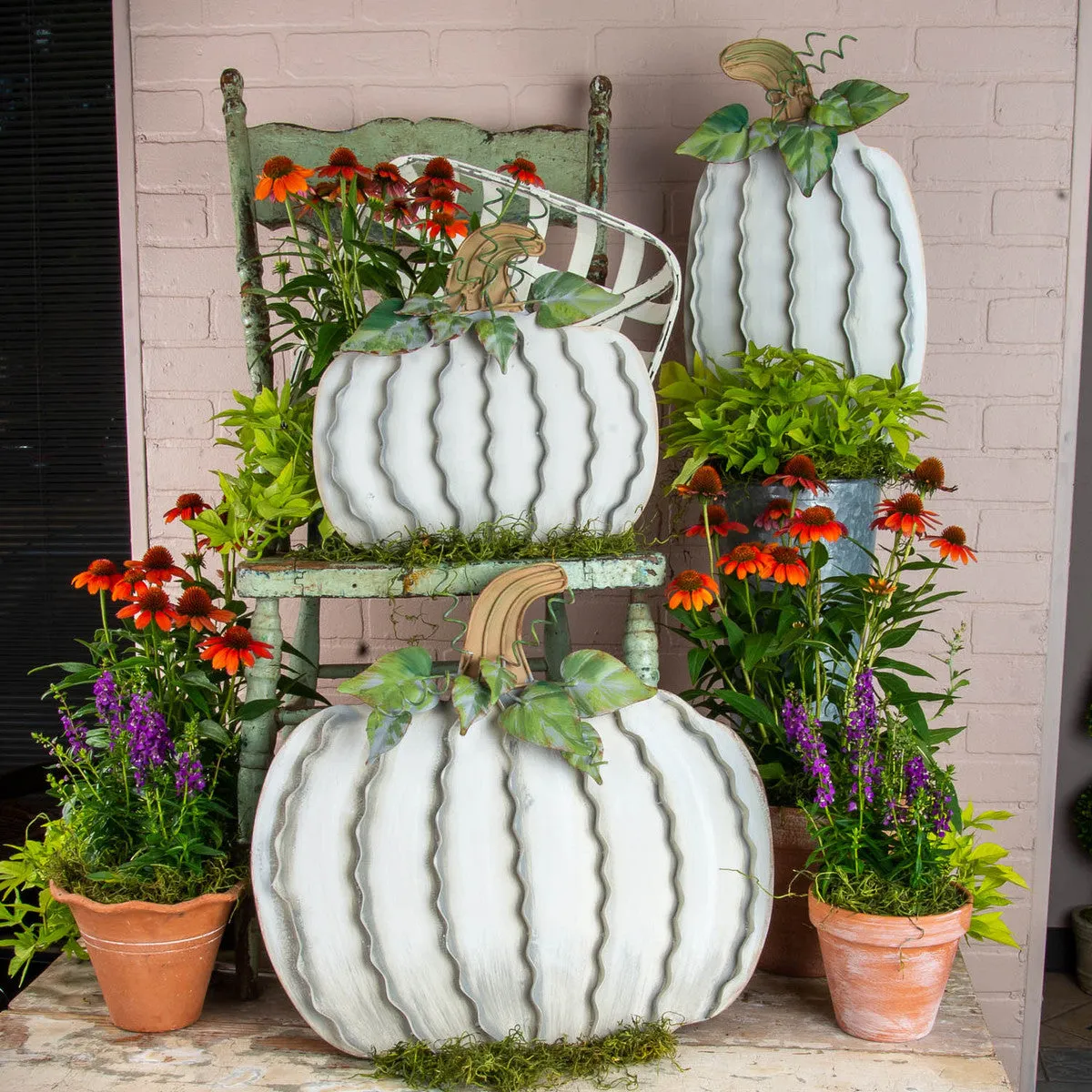 Classic Cream Pumpkins
