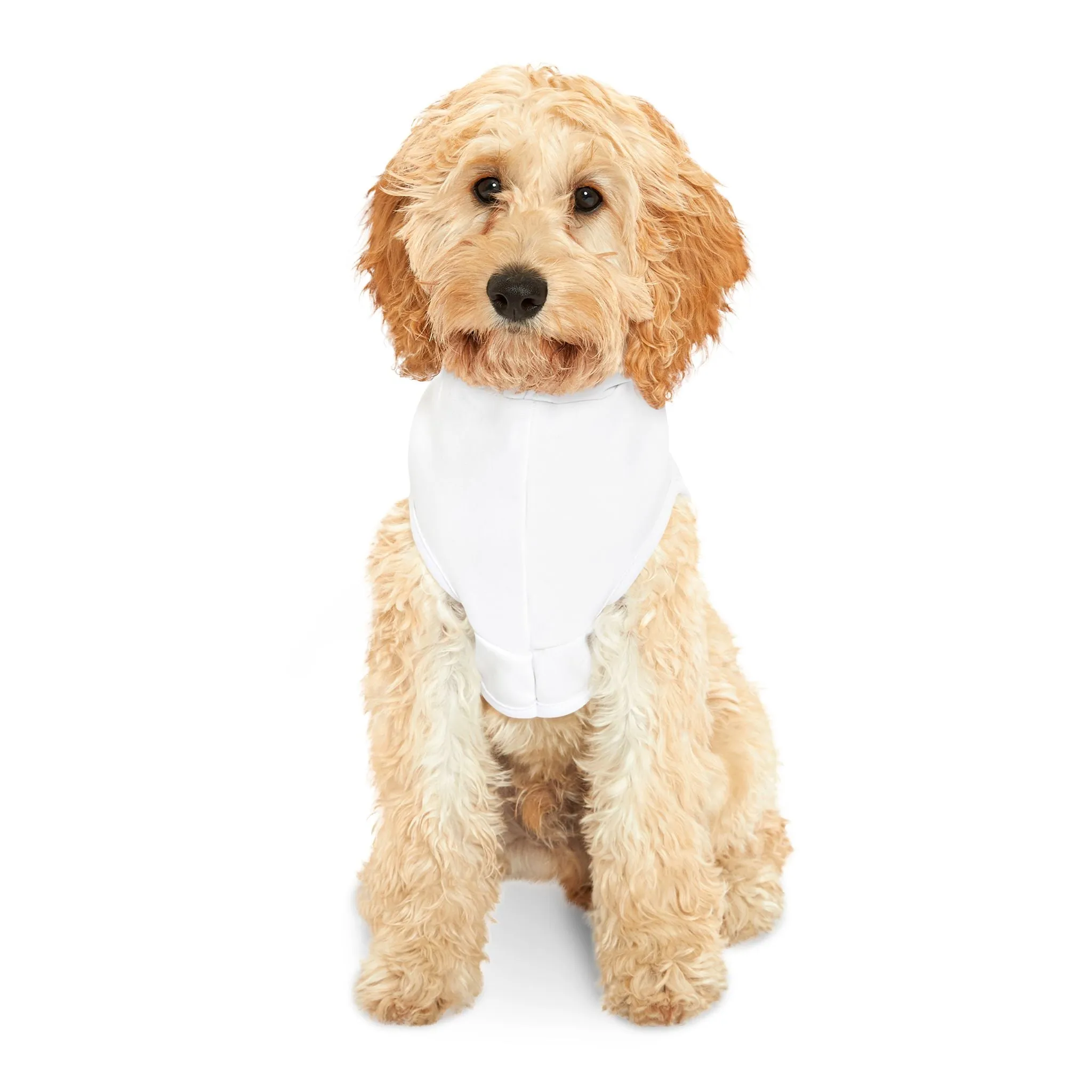 Classic 'Cute But Psycho' Pet Hoodie