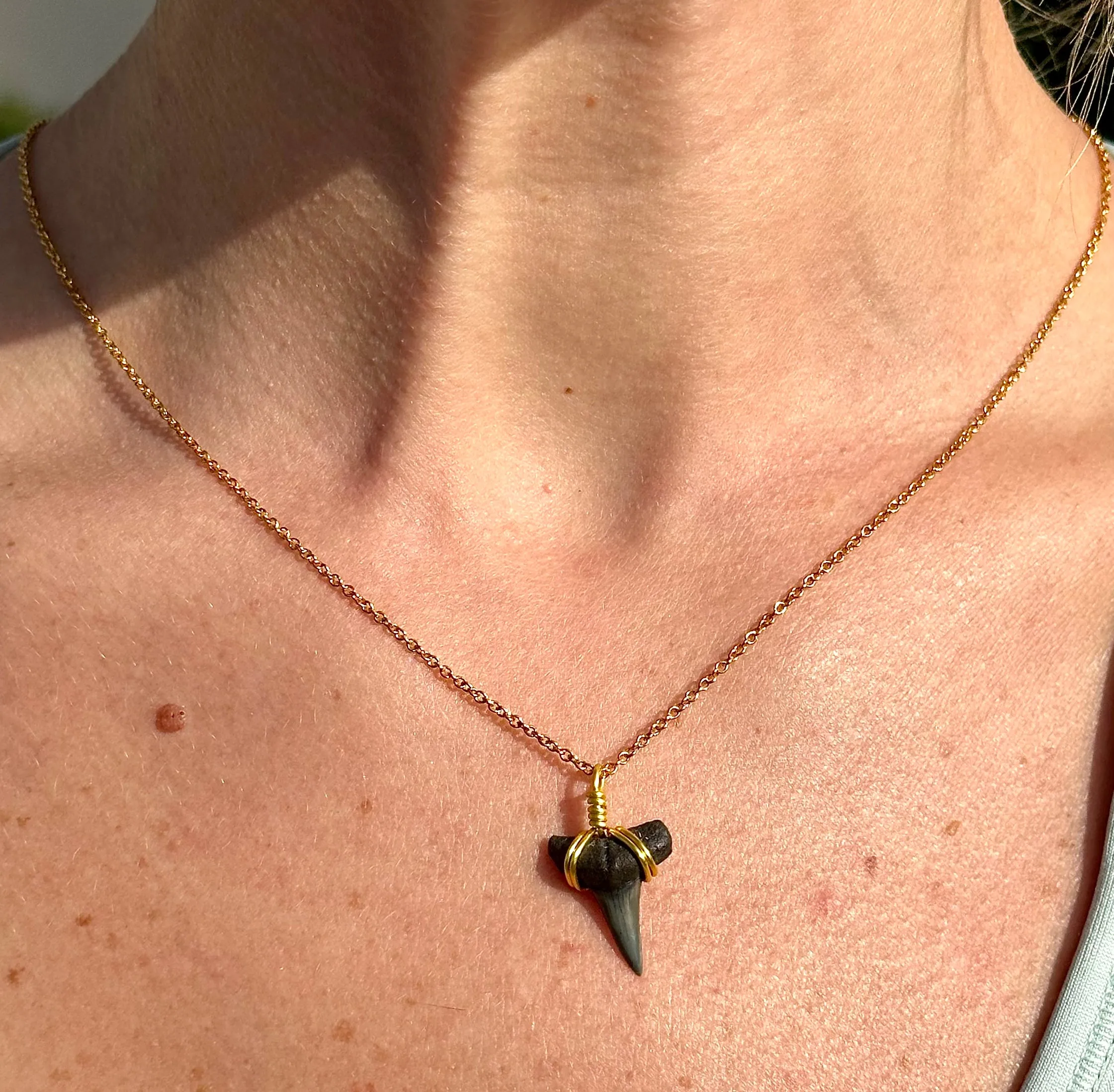 Dainty 14K Gold Filled Shark Tooth Necklace