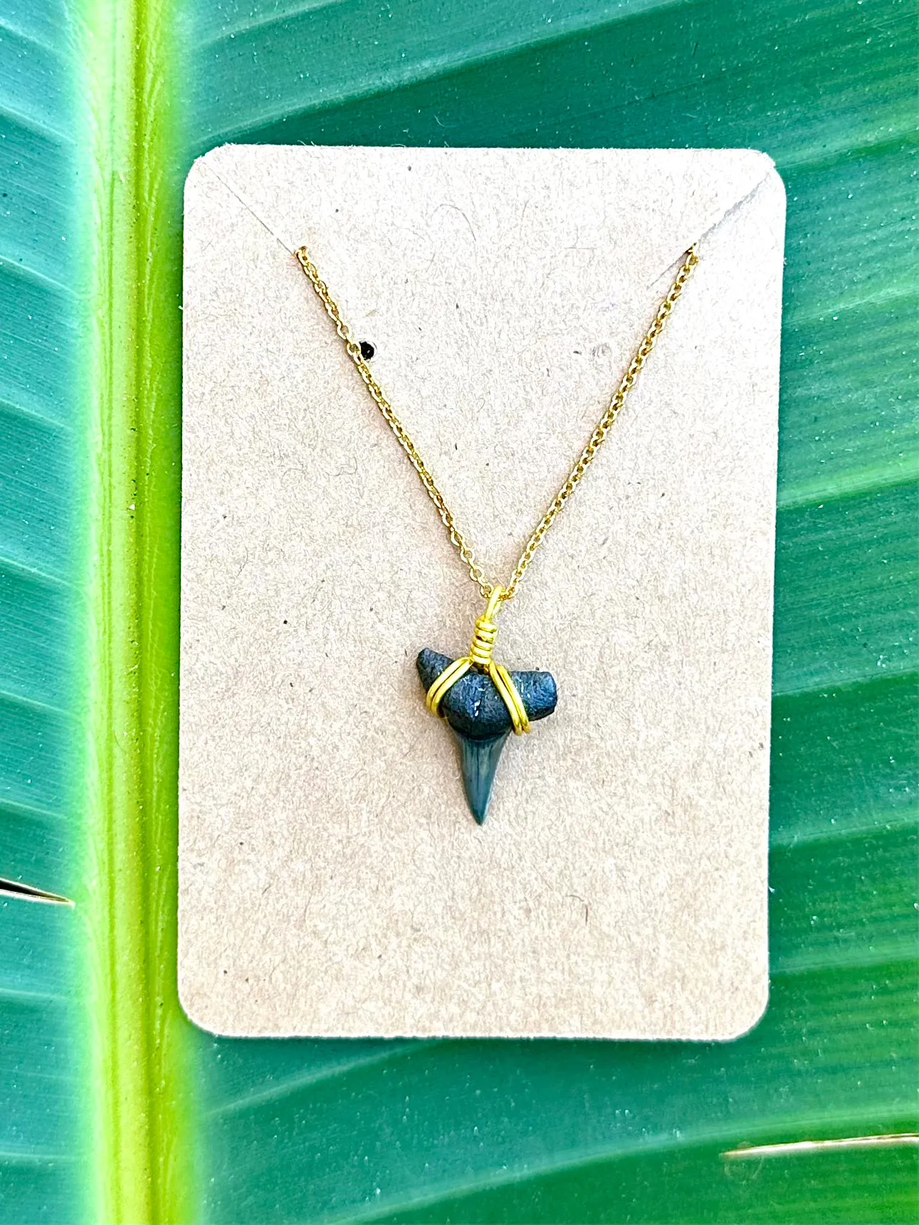 Dainty 14K Gold Filled Shark Tooth Necklace