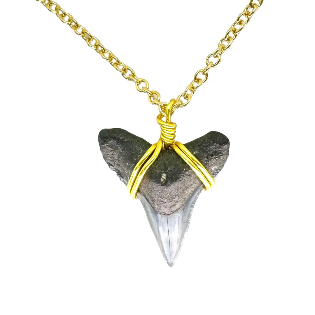 Dainty 14K Gold Filled Shark Tooth Necklace