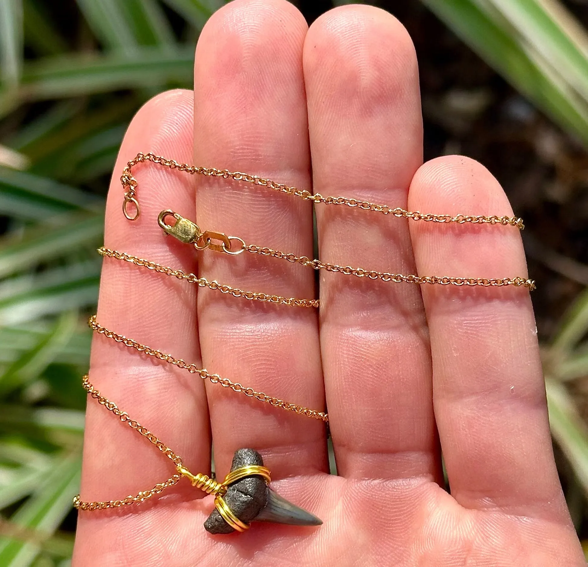 Dainty 14K Gold Filled Shark Tooth Necklace