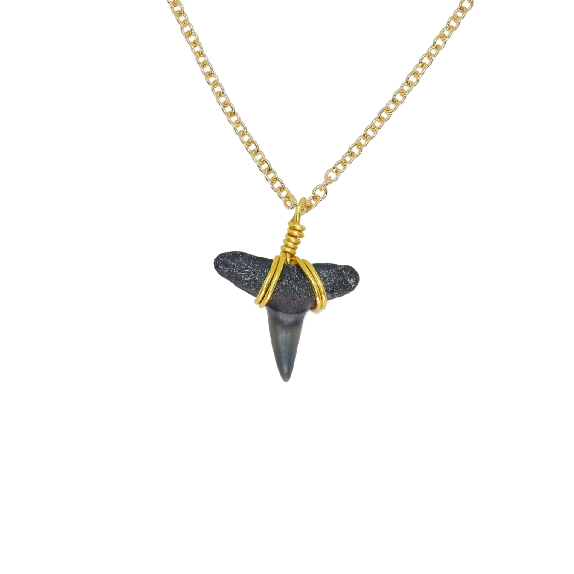 Dainty 14K Gold Filled Shark Tooth Necklace