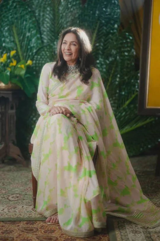 Mint Candy Swirl Organza Saree