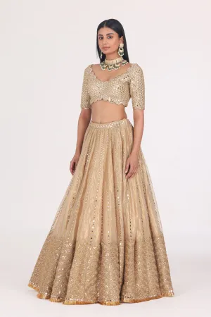 Mirror Embellished Tissue Lehenga Set