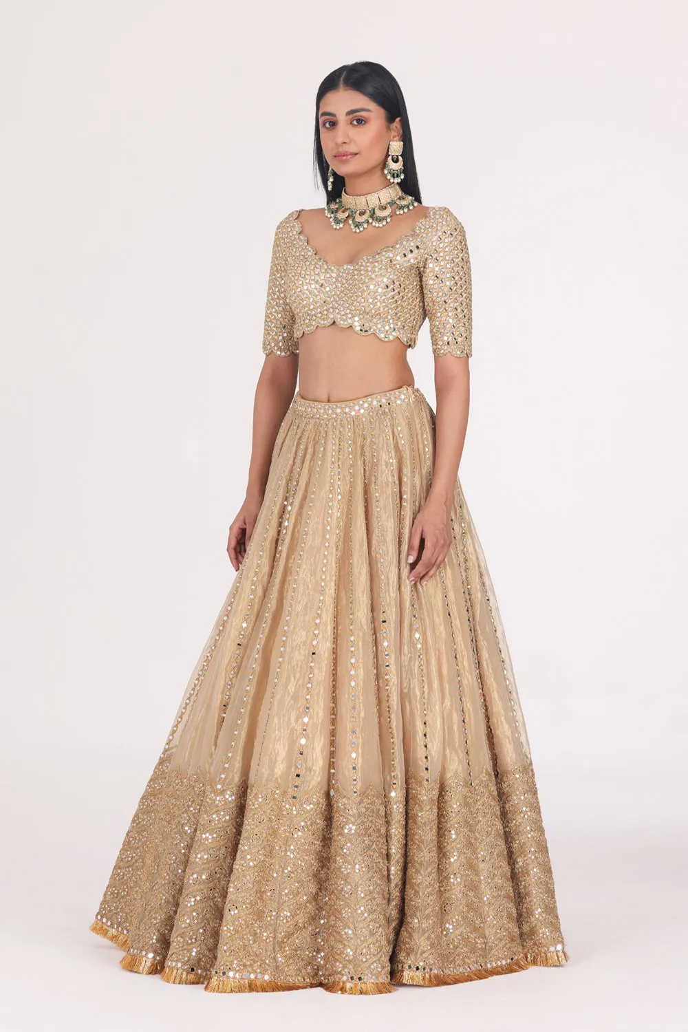 Mirror Embellished Tissue Lehenga Set