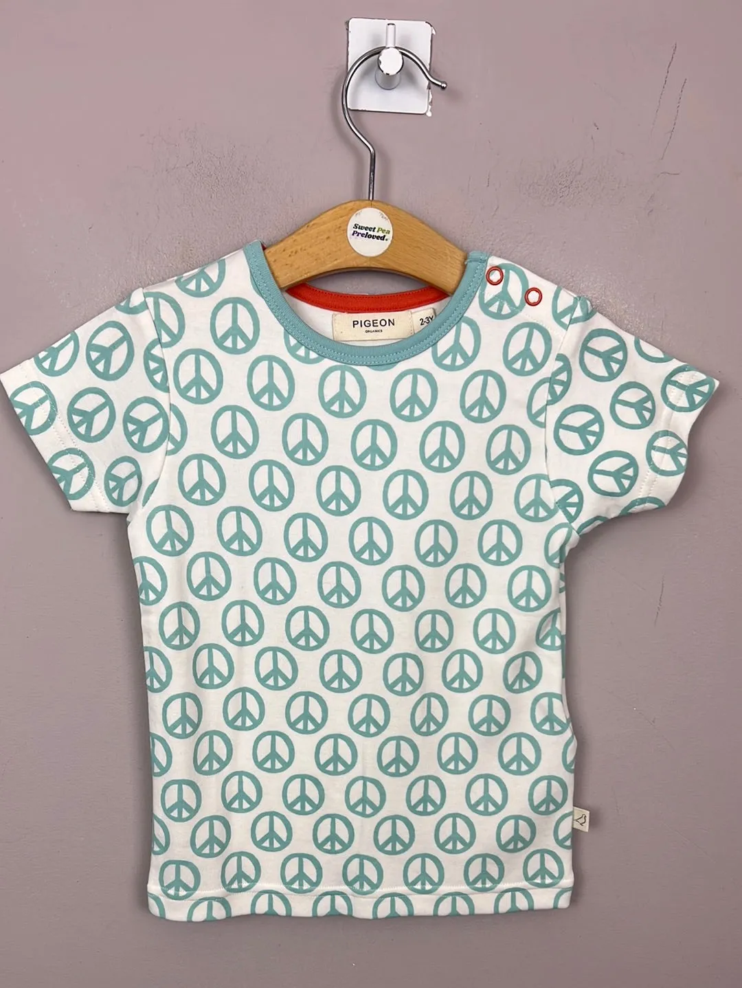 Pigeon Organics Turquoise Peace T-shirt New 2-3y