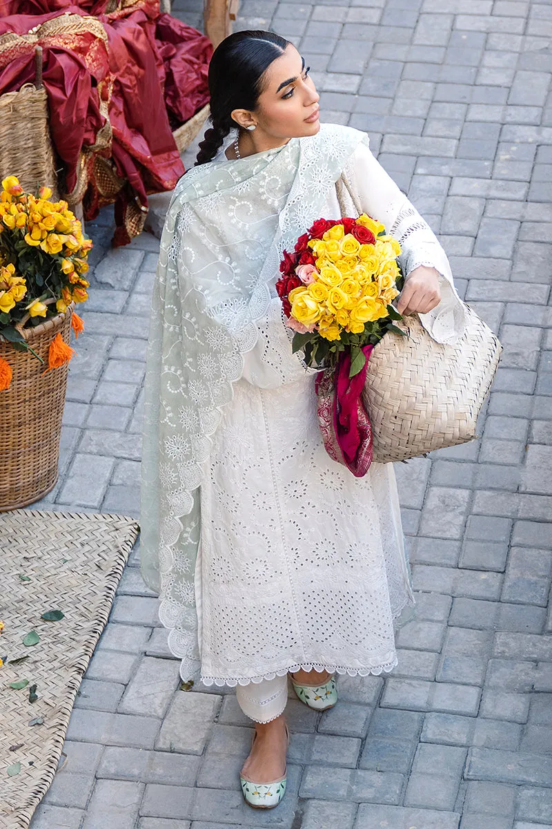Premium Off White Pakistani Salwar Suit with Embroidered Kameez