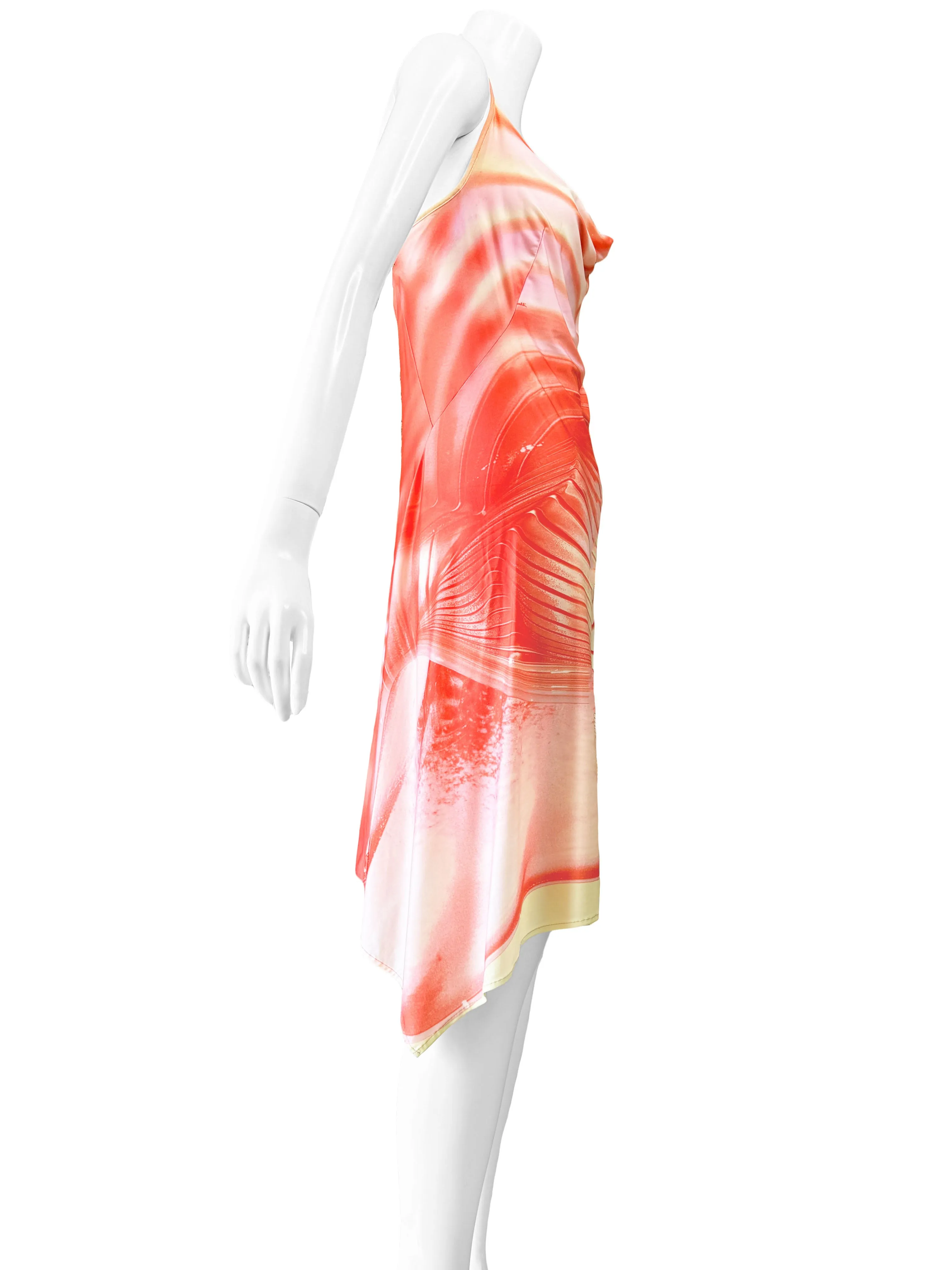 Roberto Cavalli Spring 2001 Dress