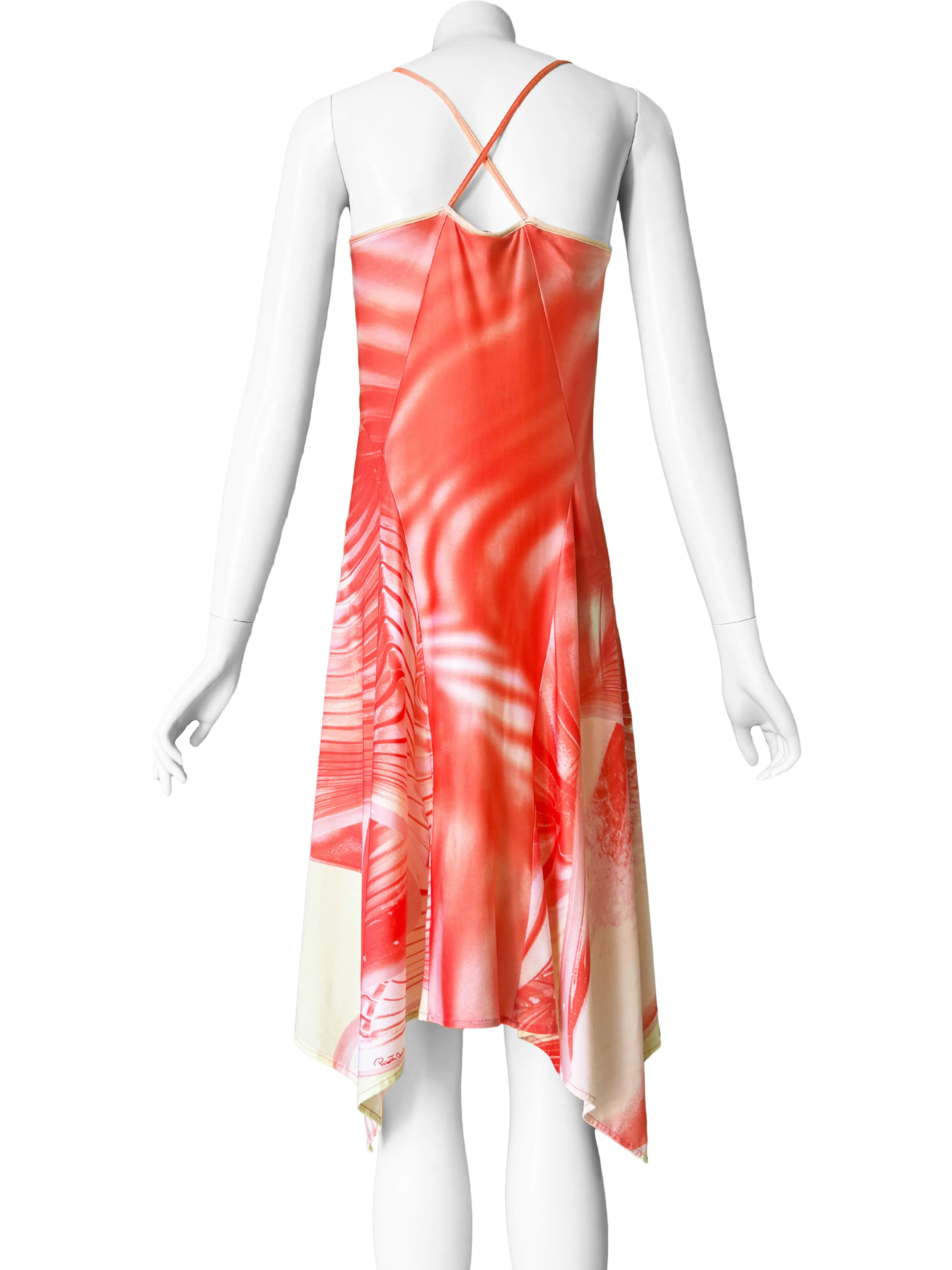 Roberto Cavalli Spring 2001 Dress