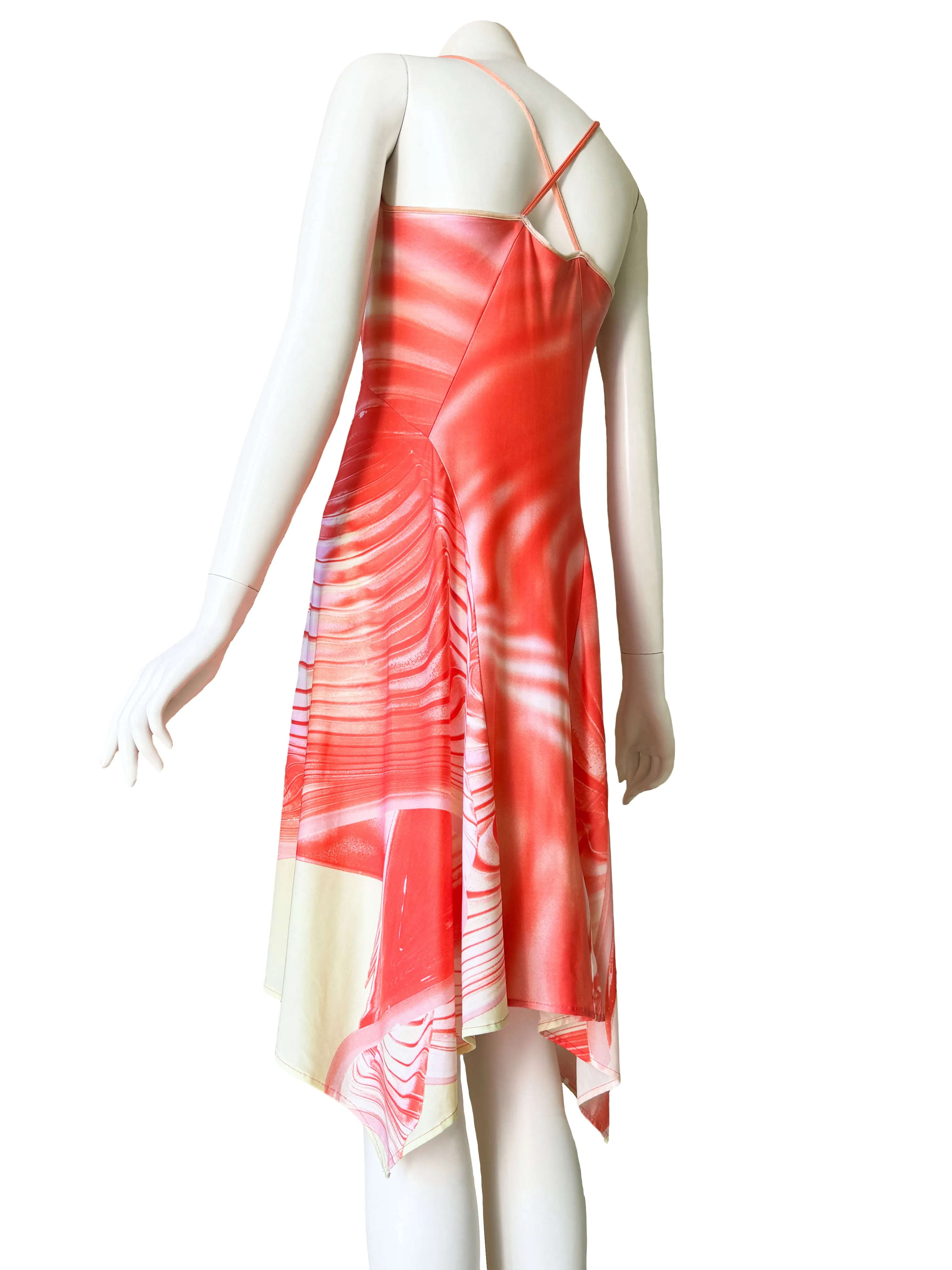 Roberto Cavalli Spring 2001 Dress