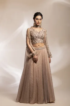 Shimmering Georgette Skirt With Embellished Blouse