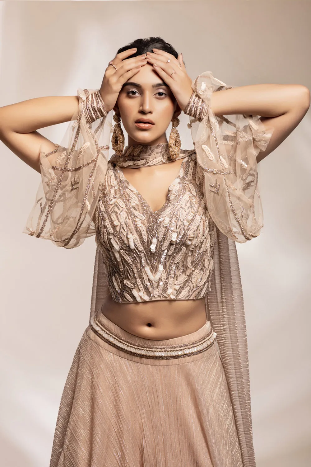 Shimmering Georgette Skirt With Embellished Blouse