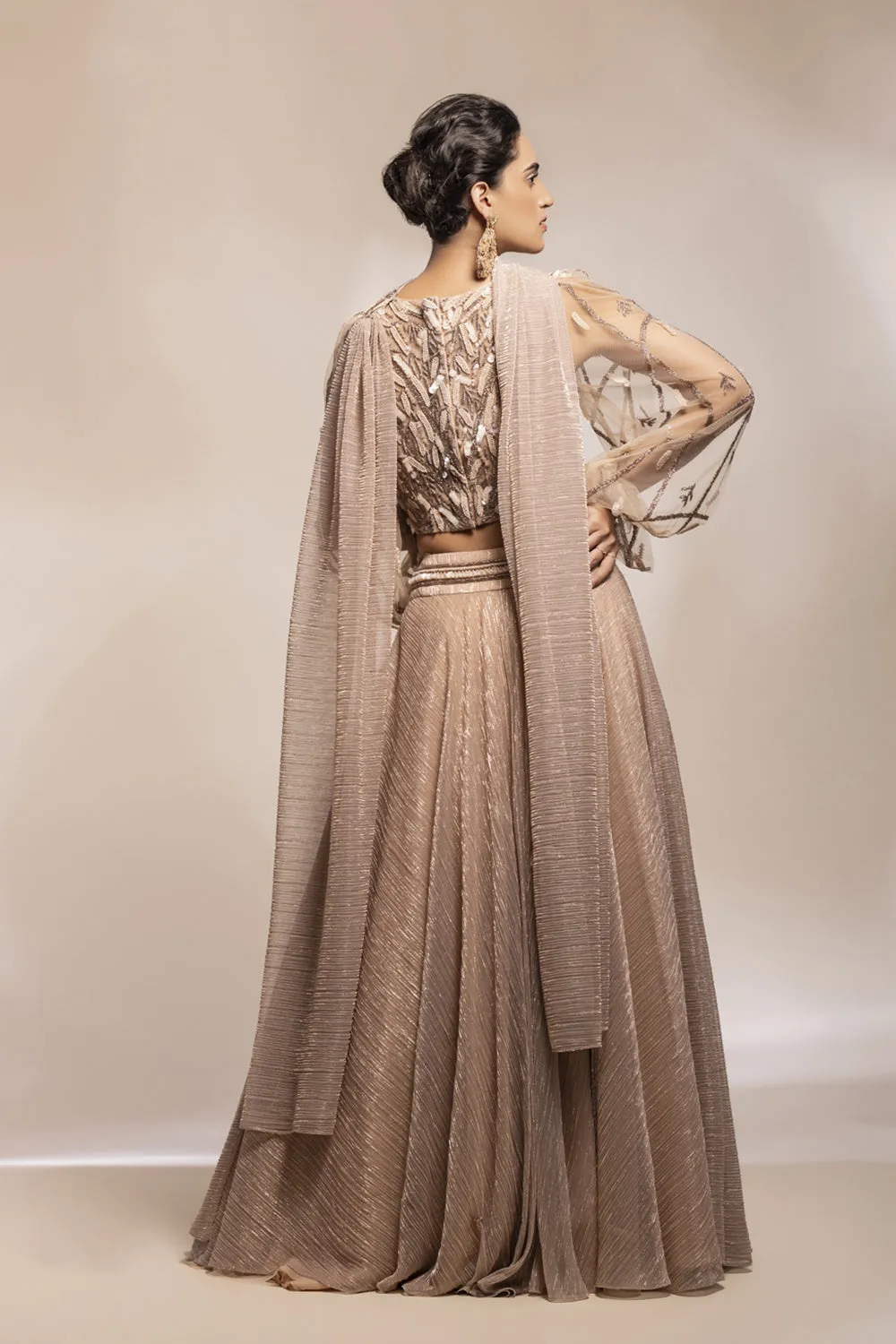 Shimmering Georgette Skirt With Embellished Blouse